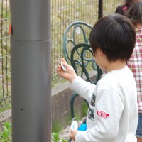 庭でイースターの卵探し（小学校低学年・こども英会話）