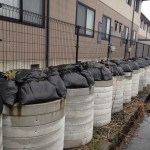How radioactive soil collected is stored under the eaves of an apartment close to our 

Project’s office (black vinyl bags contained in sewage pipes).