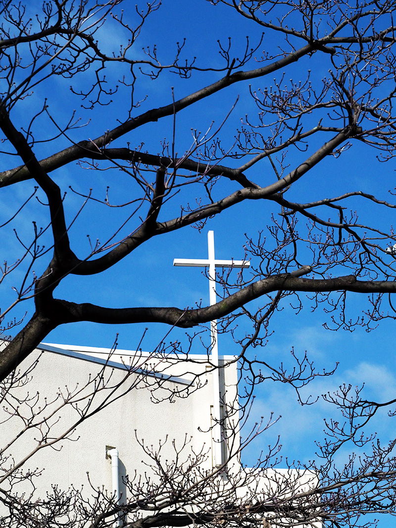 教会と白い十字架の写真。前に春を待つ花水木の枝。背景に青空が広がる。