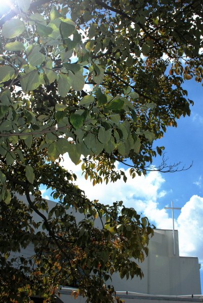 Church in summer