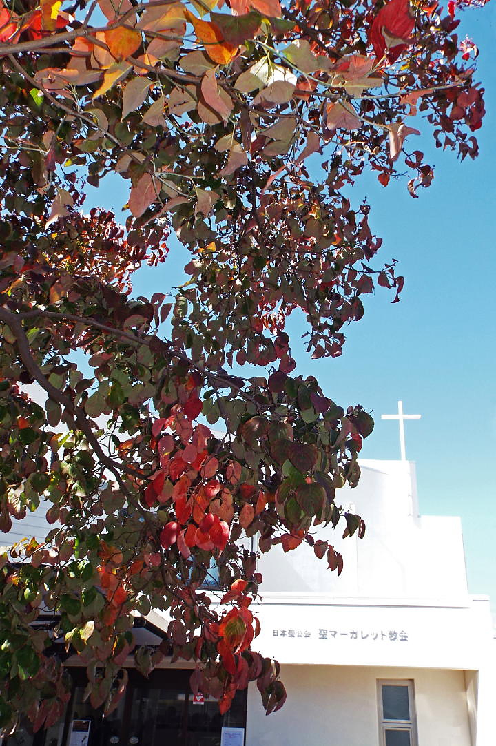 church in autumn