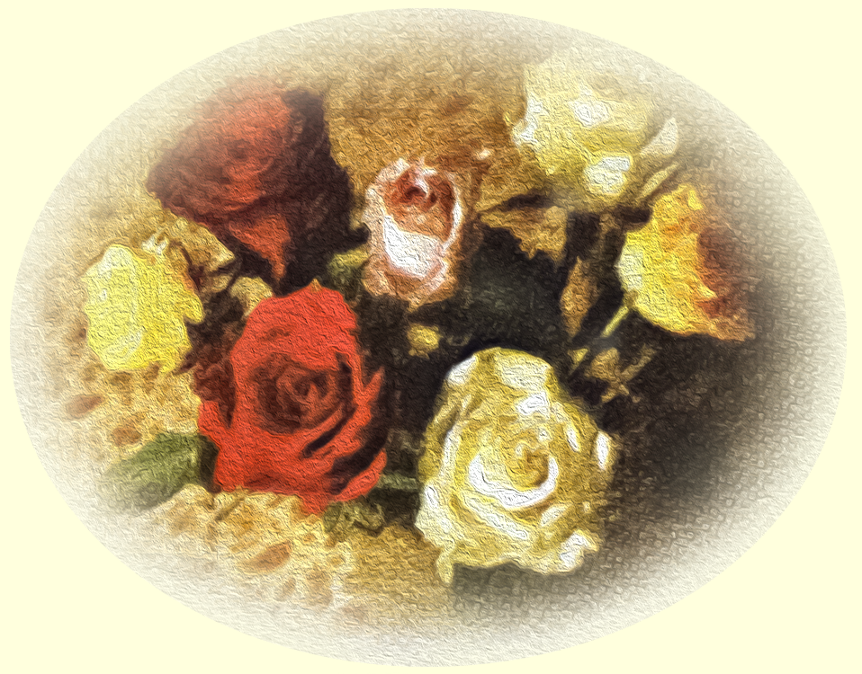色とりどりのバラの花の写真