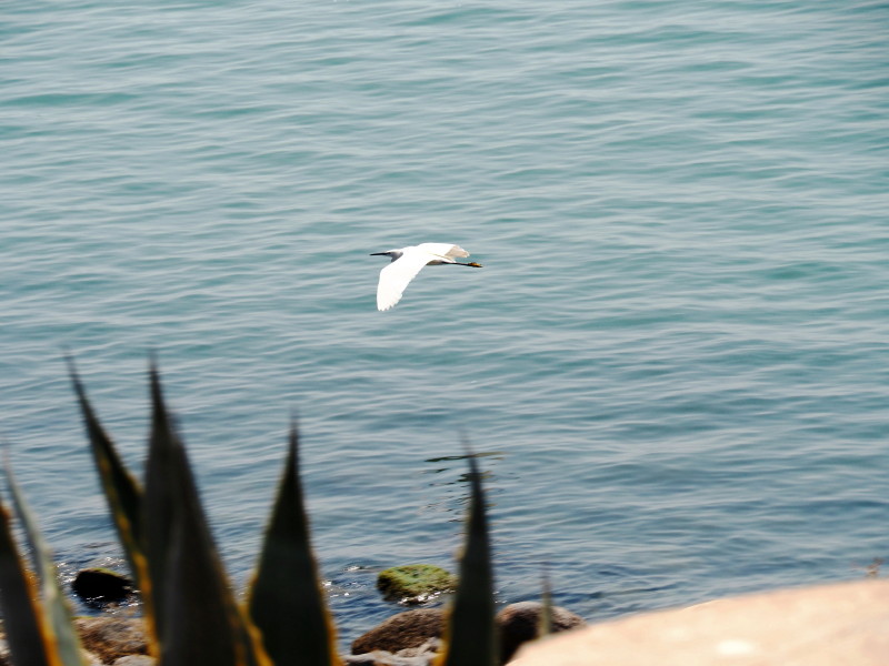 ガリラヤ湖の写真