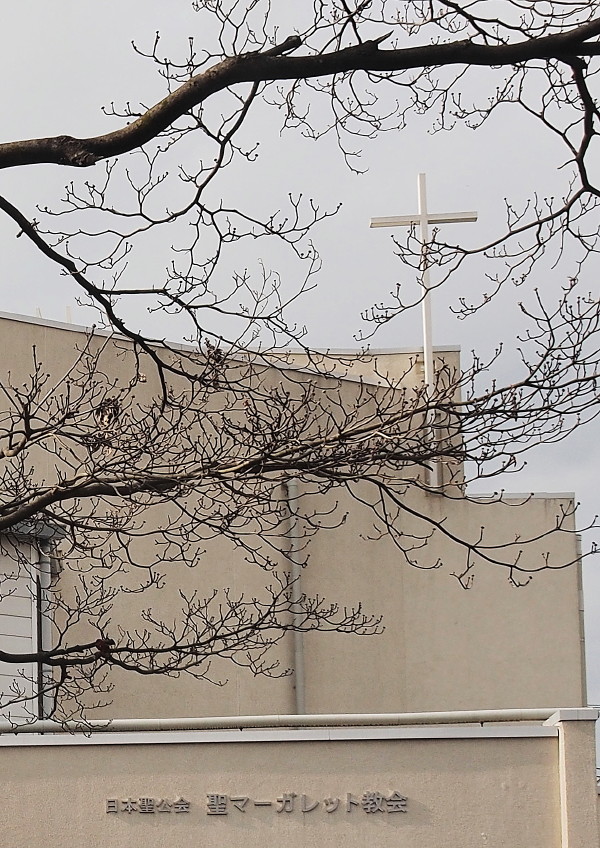 冬枯れのハナミズキの枝越しに見る十字架