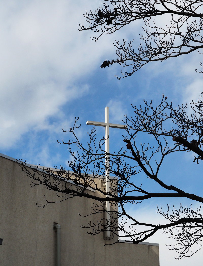 冬枯れのハナミズキの枝越しに見る十字架と空