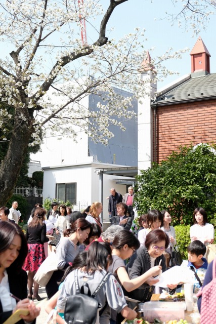 180401 C[X^[ 208  DSCF2249