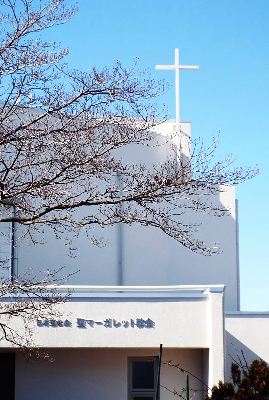 冬枯れの花みずきと白い聖堂