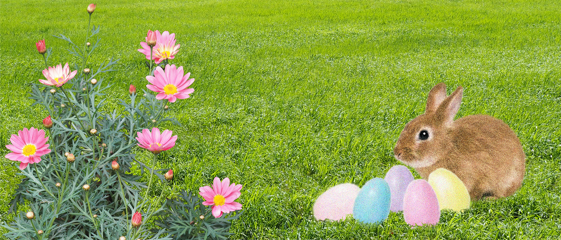 緑の草原が広がり、左側にイースタバニーが5つのイースターエッグを見守っている。右側にはピンクのマーガレットの花が咲いている。
